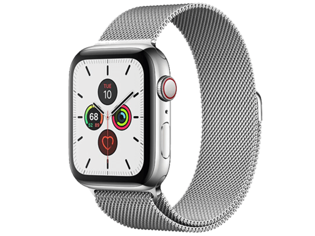 Apple Watch S5 4G 44mm Loop - Stainless Steel